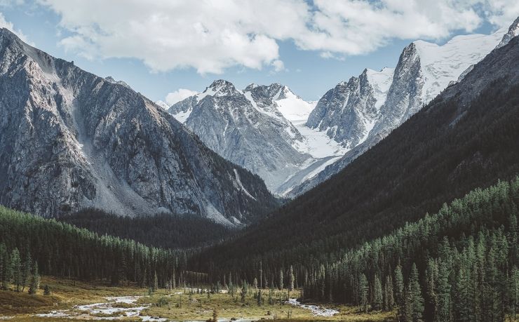 移民泰国的中介公司